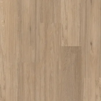 Therdex Regular Click kleur 3020