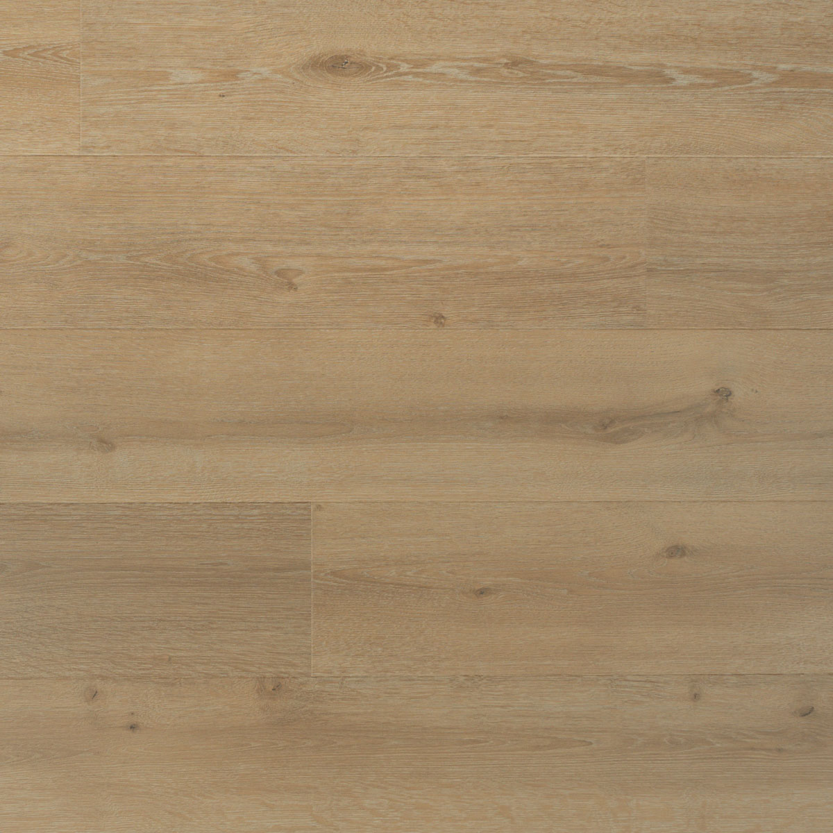 Douwes Dekker Solide plank laurier Laminaat
