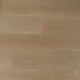 Douwes Dekker Trots solide plank kervel Klik Laminaat